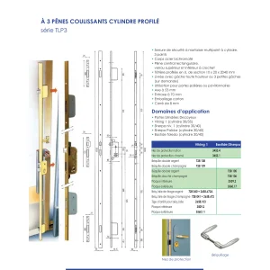 Serrure DECAYEUX axe 53/70 3 points têtière U 20 série TLP3