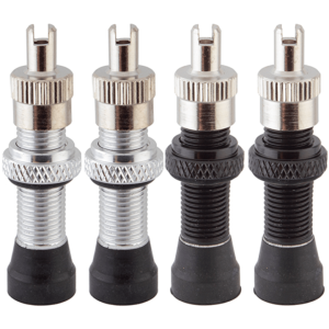 Valves Tubeless ALIENATION Schrader